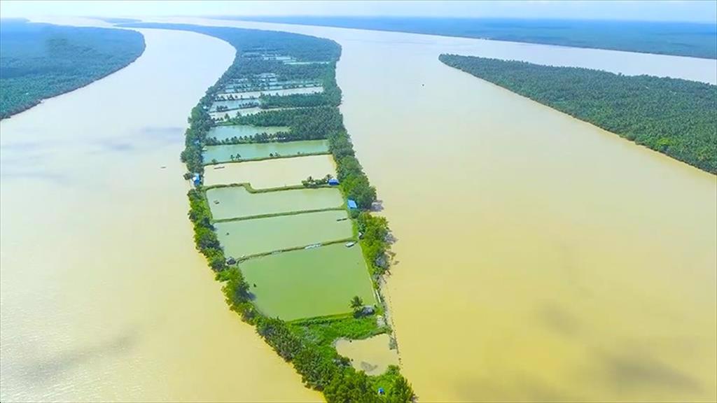 Tiền Giang tập trung chế biến thủy sản xuất khẩu 