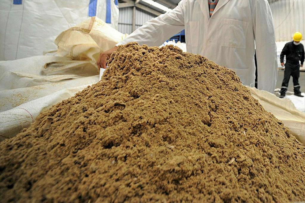 Trung Quốc Nhập khẩu bột cá phá kỷ lục