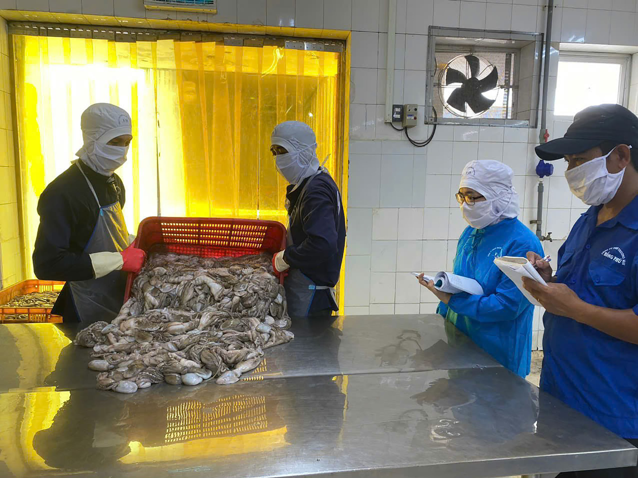 LẬT LẠI HỒ SƠ THU MUA NGUYÊN LIỆU TỪ NĂM 2016-2017 Doanh nghiệp chế biến thủy sản lao đao về thuế