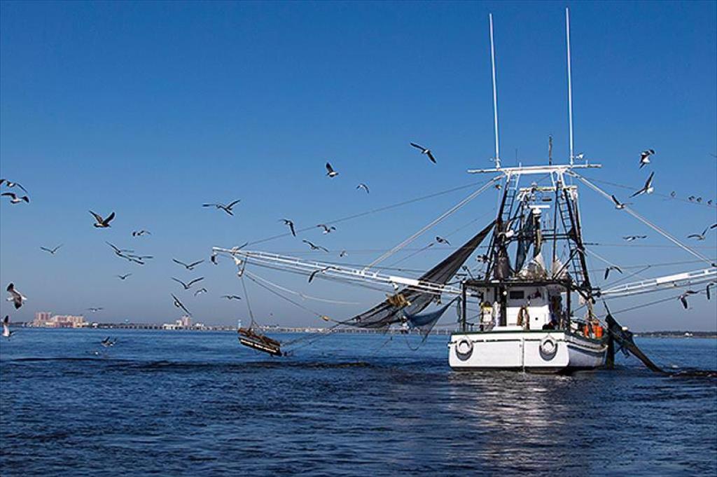 EU công bố khoản tài trợ 5,7 triệu EUR cho các dự án thủy sản bền vững