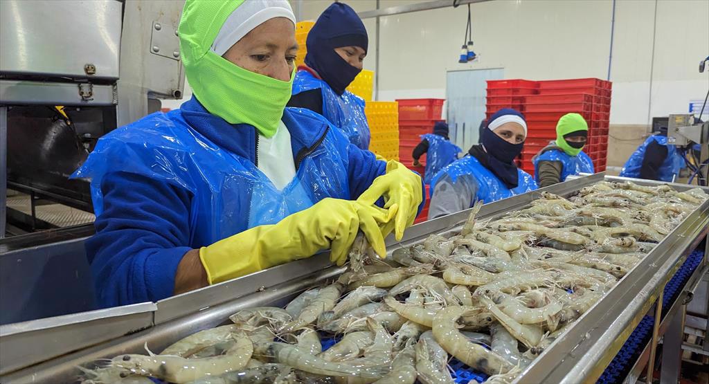 Limbomar (Ecuador) bắt đầu sản xuất tại nhà máy mới trị giá 40 triệu USD