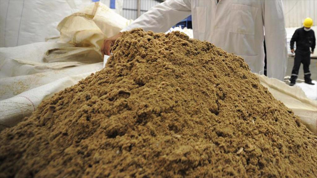 Giá bột cá tiếp tục giảm vì nhập khẩu của Trung Quốc tăng kỷ lục