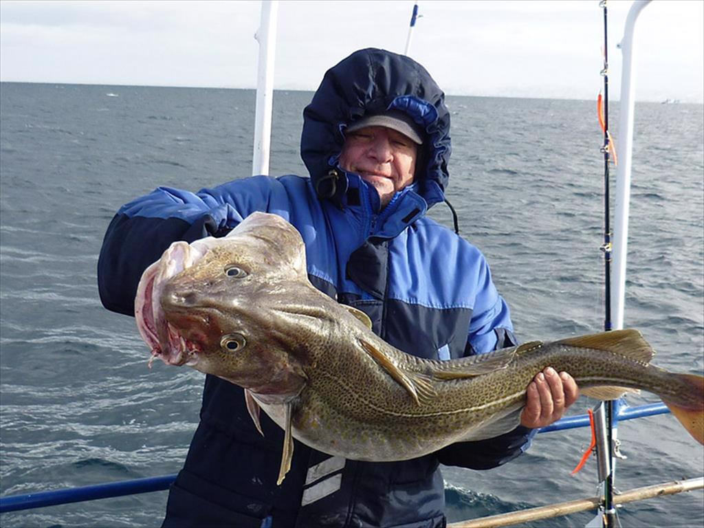 Giá cá thịt trắng Na Uy đạt mức cao kỷ lục trong tuần đầu tháng 102024