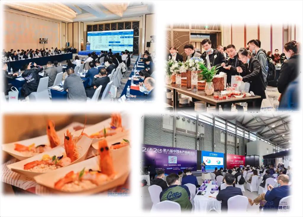 Tập đoàn OIG (Trung Quốc) lạc quan về tiêu thụ thủy sản của Trung Quốc