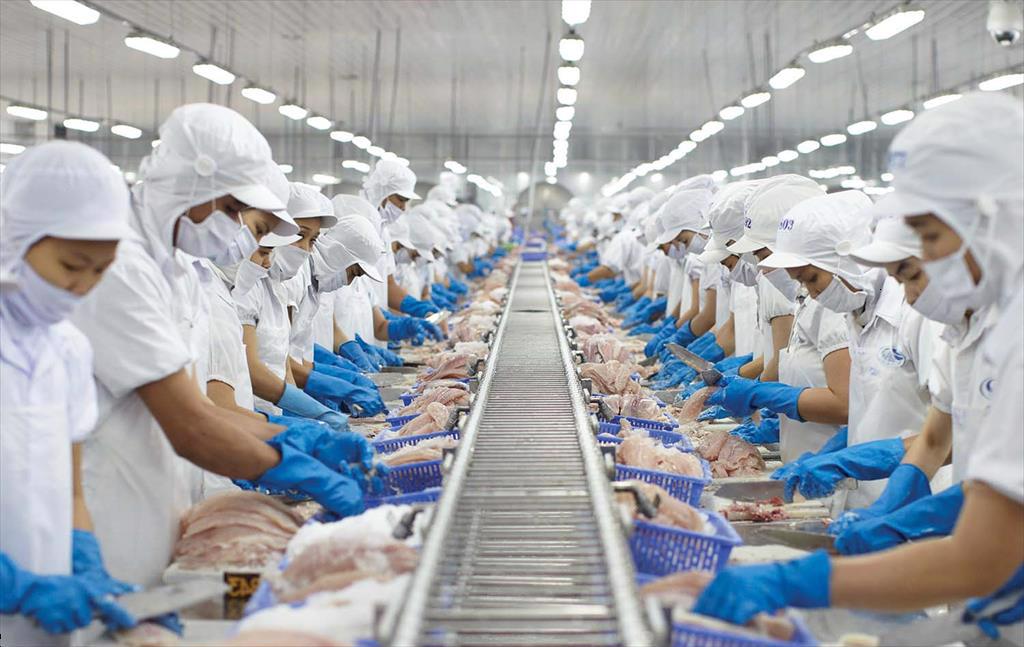 Vinh Hoan Corp (VHC) “dominates” Vietnams frozen pangasius fillet exports to the US