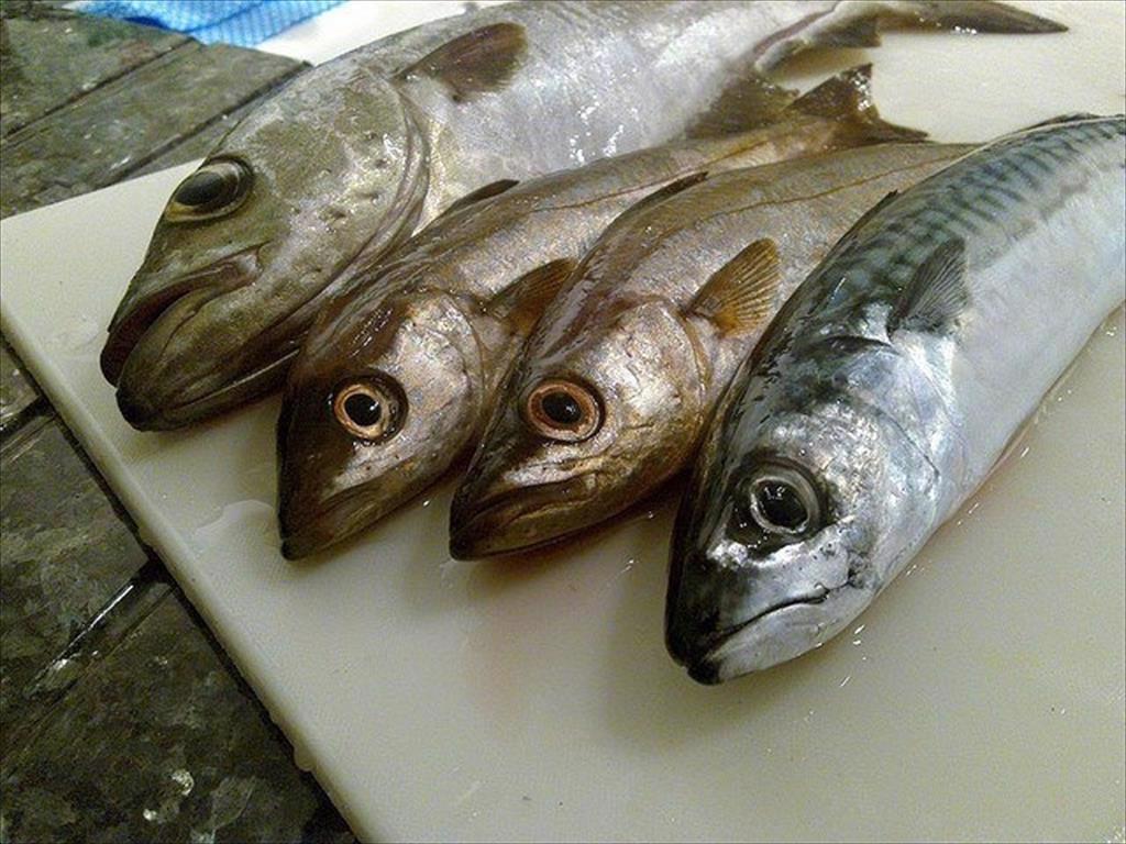 Mỹ Giá bán buôn cá minh thái ổn định