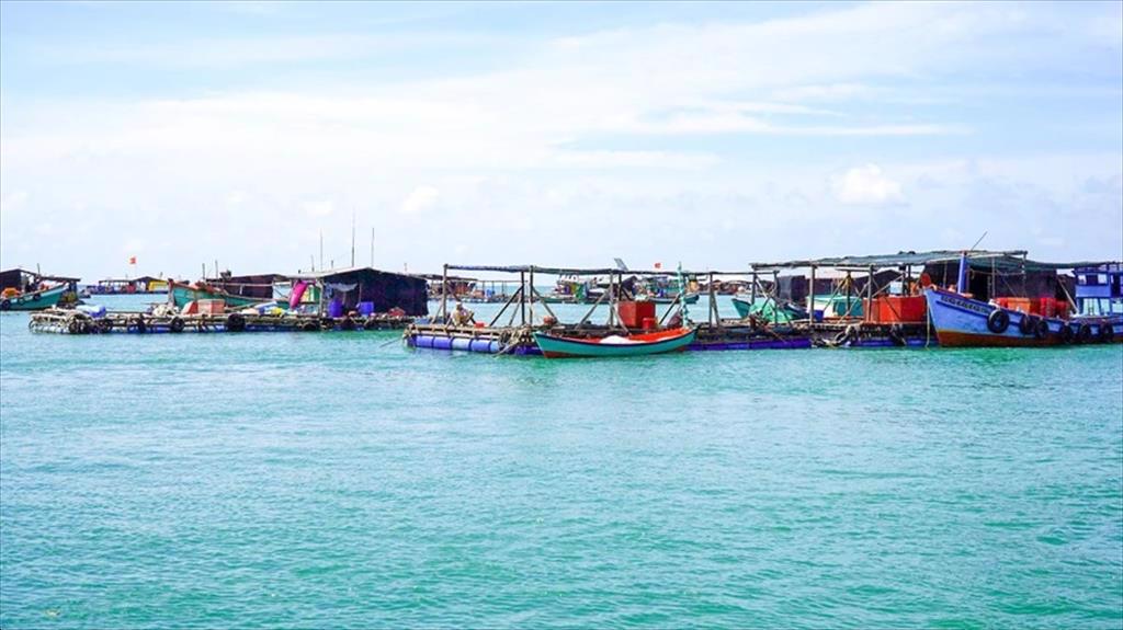 Kiên Giang Aquaculture sees positive growth