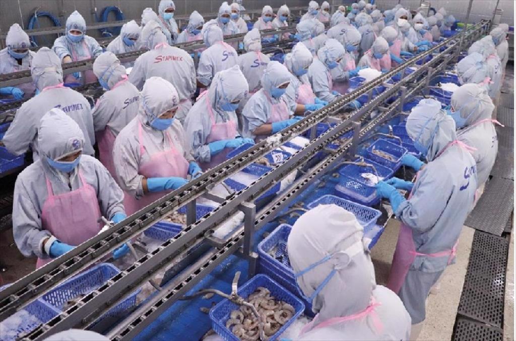 Stapimex nằm trong top 15 nhà cung cấp tôm lớn nhất cho Mỹ năm 2023 