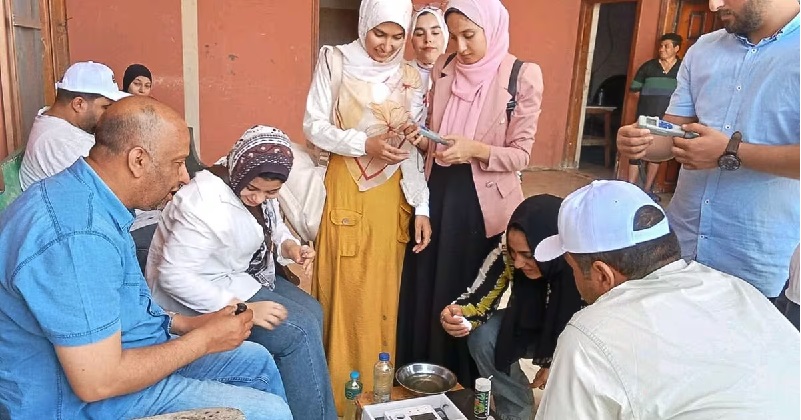 Dự án Phúc lợi cá rô phi Ai Cập đã cải thiện phúc lợi cho 260 triệu con cá 