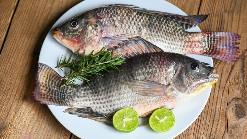 Sản lượng cá rô phi toàn cầu sẽ vượt 7 triệu tấn năm 2025 