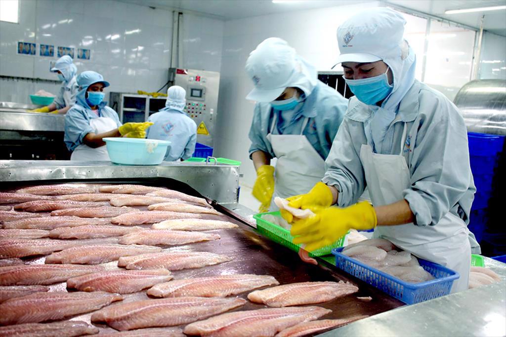 Declining U.S. inventories boost demand for pangasius