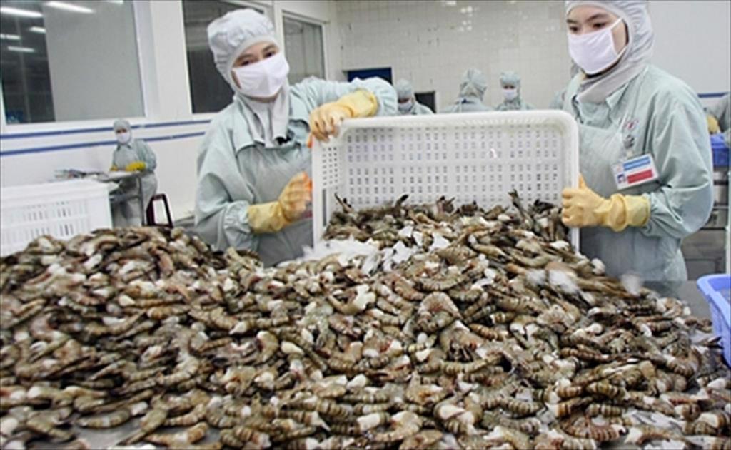 Những điểm nhấn thị trường thủy sản 9 tháng đầu năm 2024