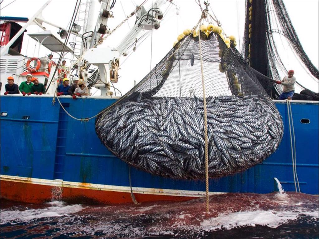 EU đạt thỏa thuận về khai thác thủy sản