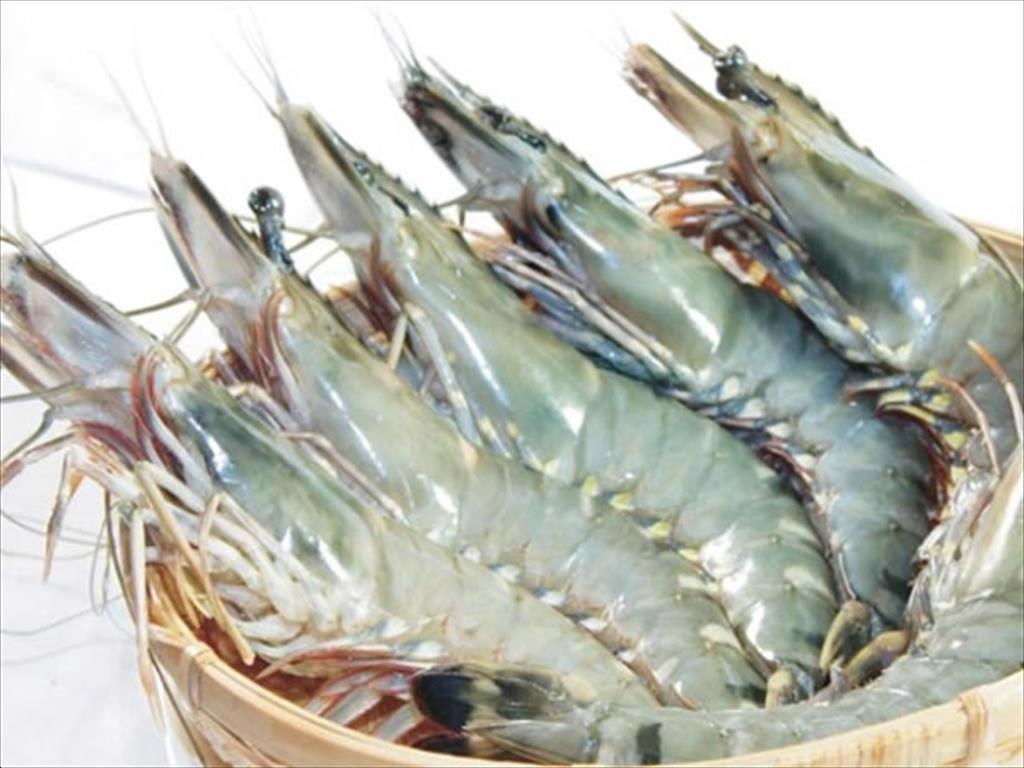 Vietnam’s shrimp exports reach $2.8 billion in the first three quarters