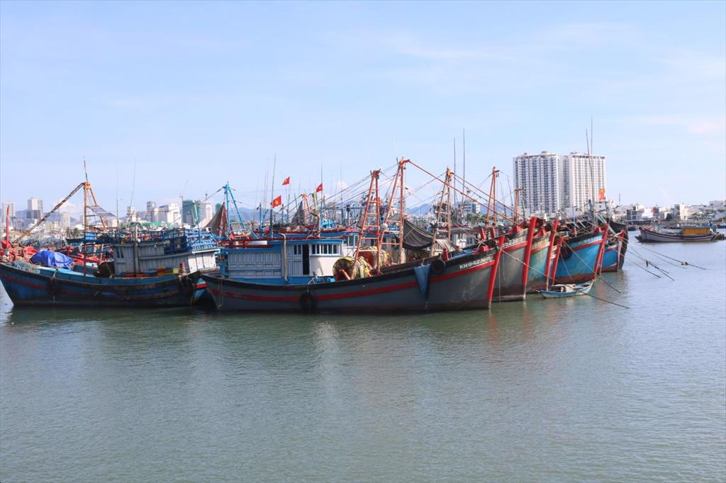 Khanh Hoa pioneers electronic traceability system for captured seafood