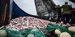 Bộ trưởng Quốc phòng kêu gọi Châu Phi bảo vệ bờ biển khỏi hoạt động bất hợp pháp