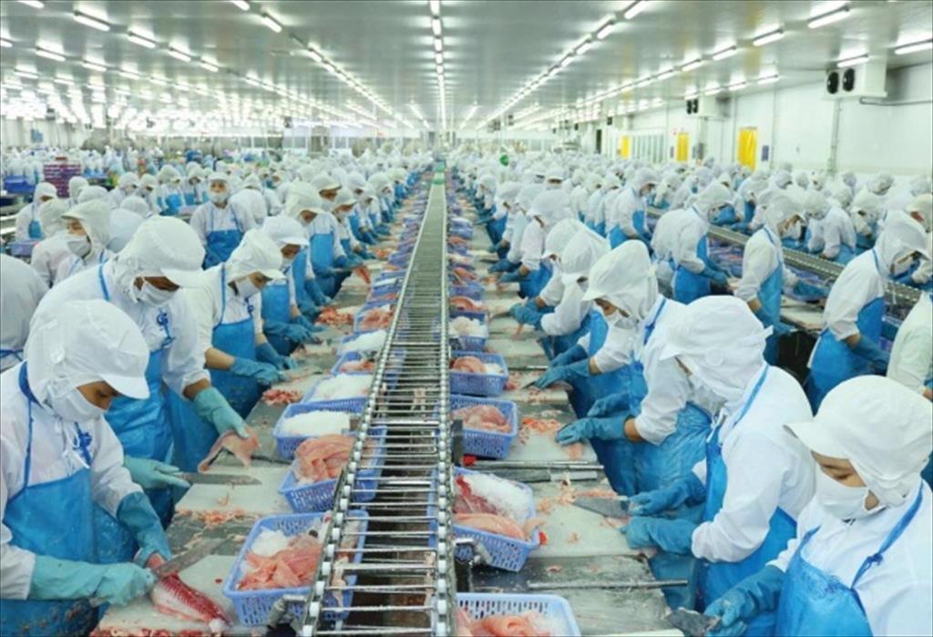 Vietnamese seafood enterprises report positive developments