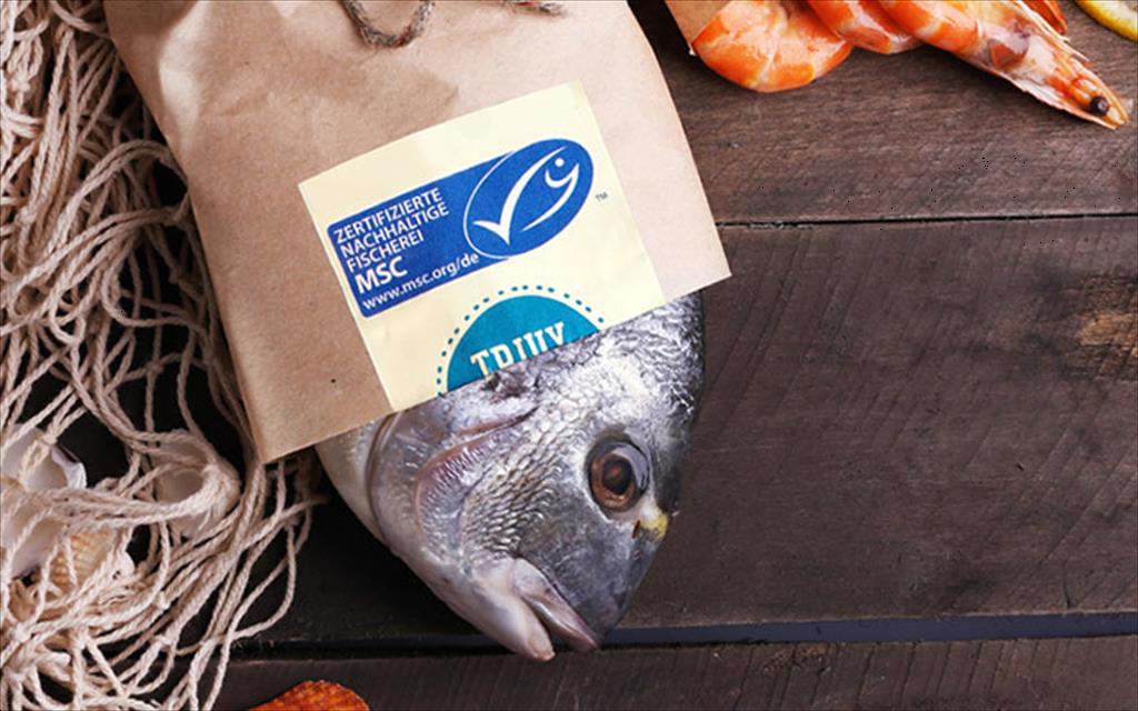 MSC ra mắt sáng kiến mới thúc đẩy khai thác thủy sản bền vững