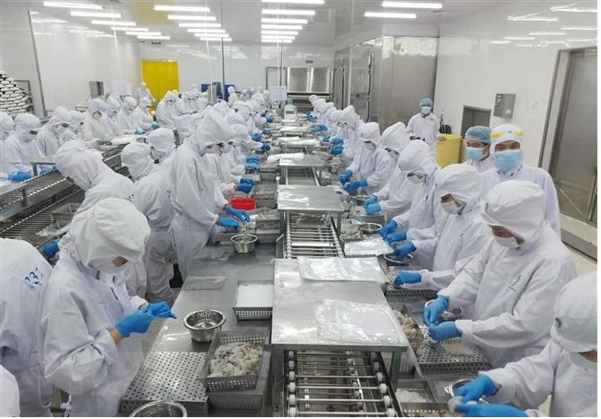 CEPA được ký kết mở thêm cánh cửa cho xuất khẩu tôm sang UAE 