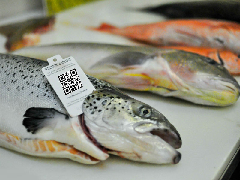 Người dân EU ủng hộ thông tin truy xuất nguồn gốc minh bạch cho thủy sản