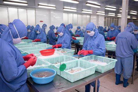 Doanh số tháng 10 của Thực phẩm Sao Ta (FMC) đạt 23,25 triệu USD