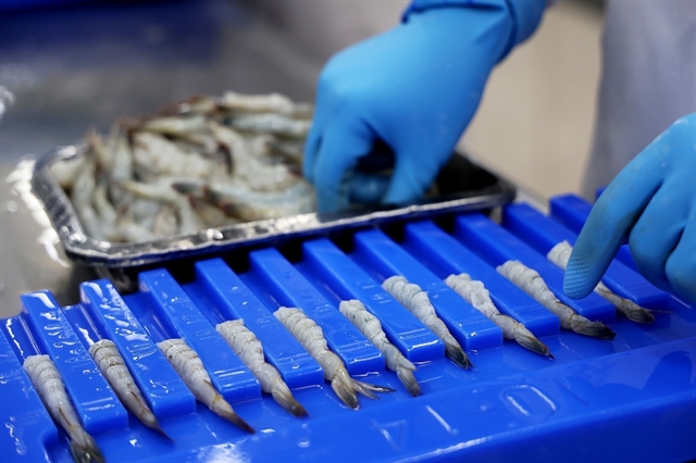 Viet Nams seafood sector primed for growth with favourable exports