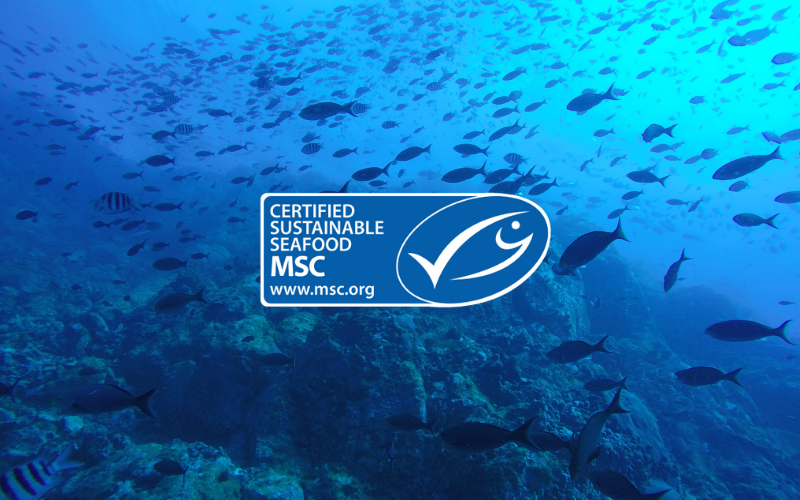 MSC triển khai chương trình cải tiến để thúc đẩy tiến bộ nghề cá