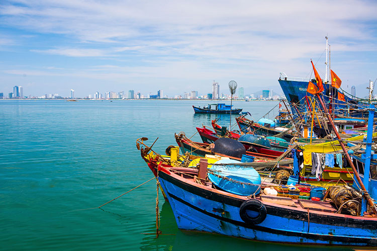 Khắc phục thẻ vàng IUU Những nỗ lực không ngừng nghỉ của Việt Nam