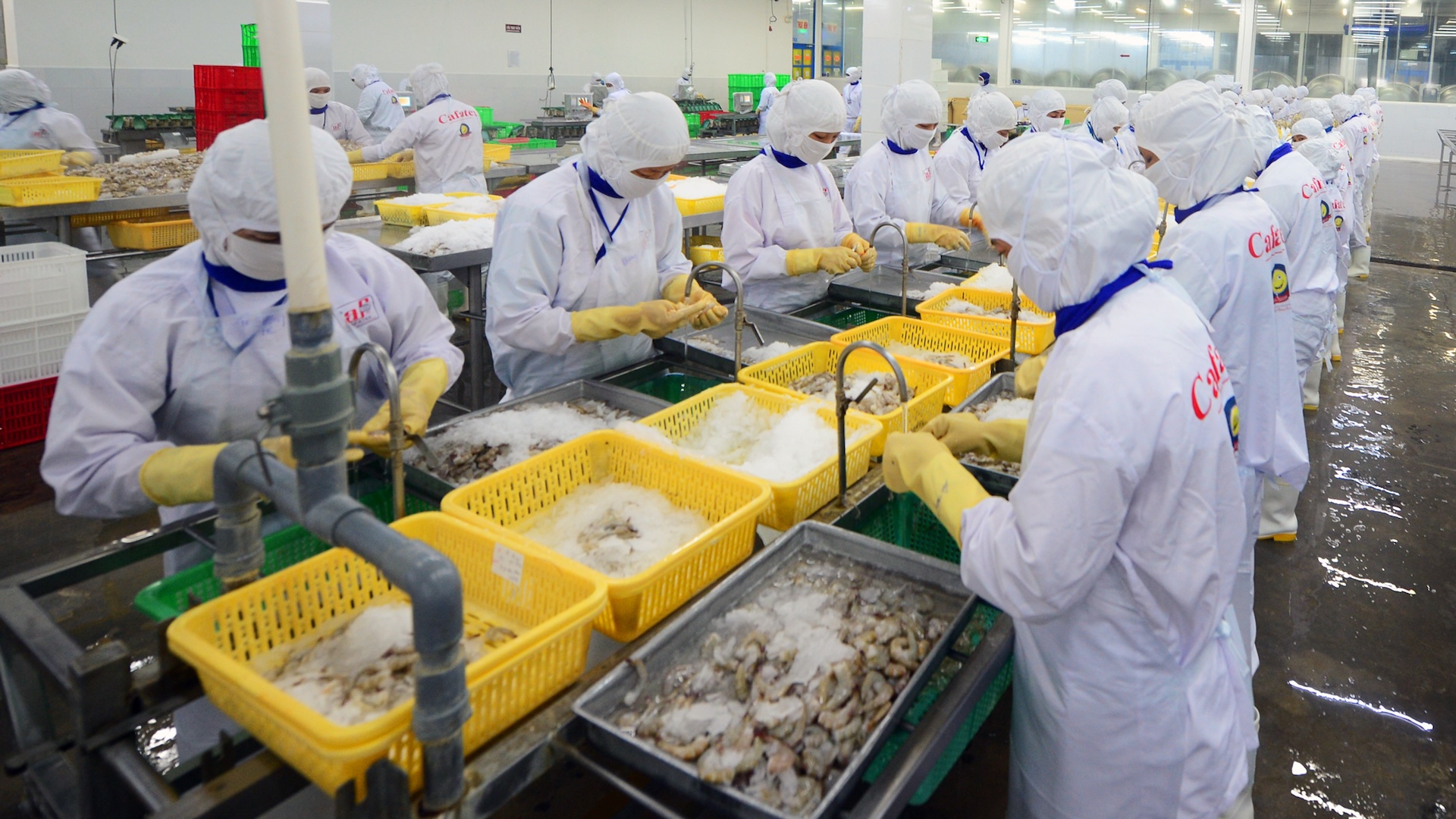 Tận dụng hiệu quả Hiệp định CPTPP để tăng tốc xuất khẩu sang Canada