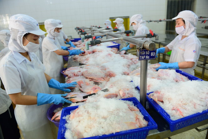 Thêm i ốt vào thực phẩm Chọn lọc hay bắt buộc toàn bộ