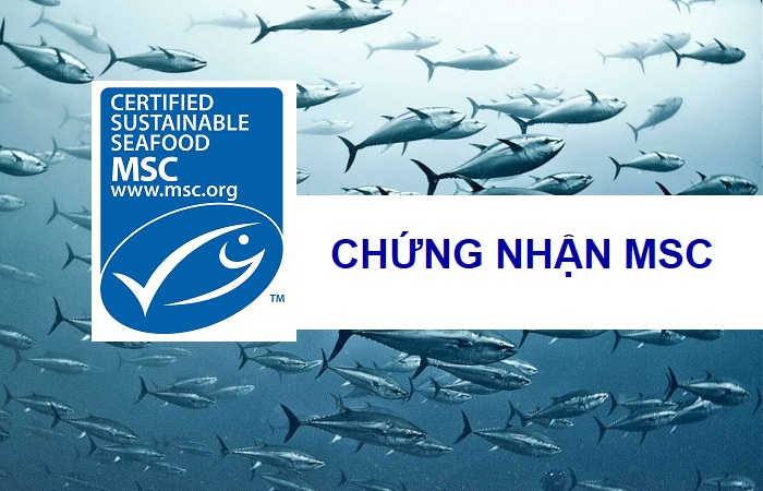 Ngư trường cá ngừ của Senegal đạt chứng nhận MSC 
