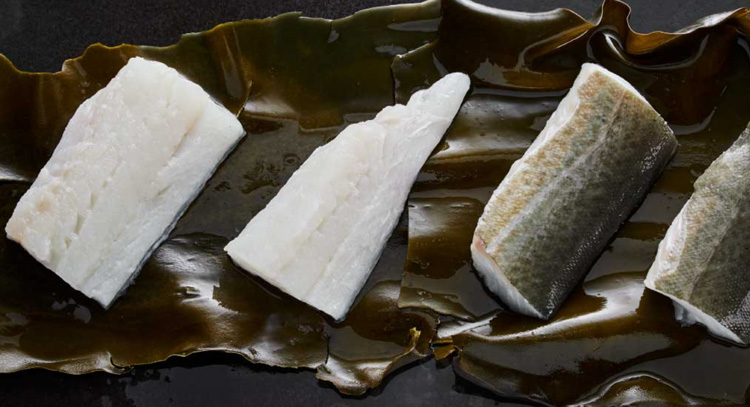 Giá cá tuyết HG tăng kỷ lục, nhà NK Trung Quốc lo lắng