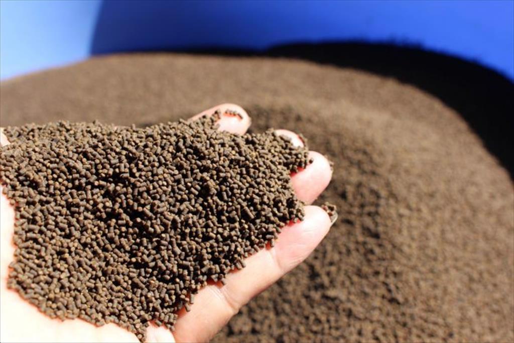 Lợi nhuận quý 2 của công ty thức ăn Avanti Feeds (Ấn Độ) tăng 47%