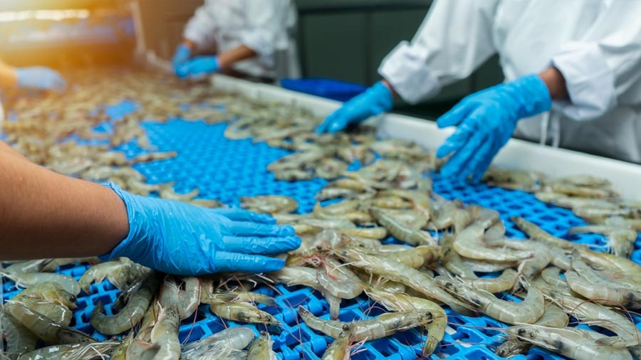 Exporting seafood to the US Opportunies and challenges after the new presidential election