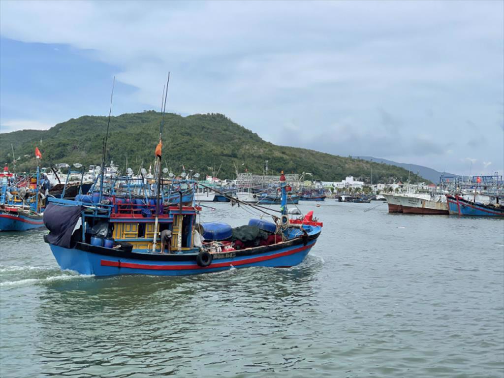 Công văn của Cục Thủy sản về cấp SCCC Không yêu cầu DN phải nộp thêm các hồ sơ không có trong quy định hiện hành 