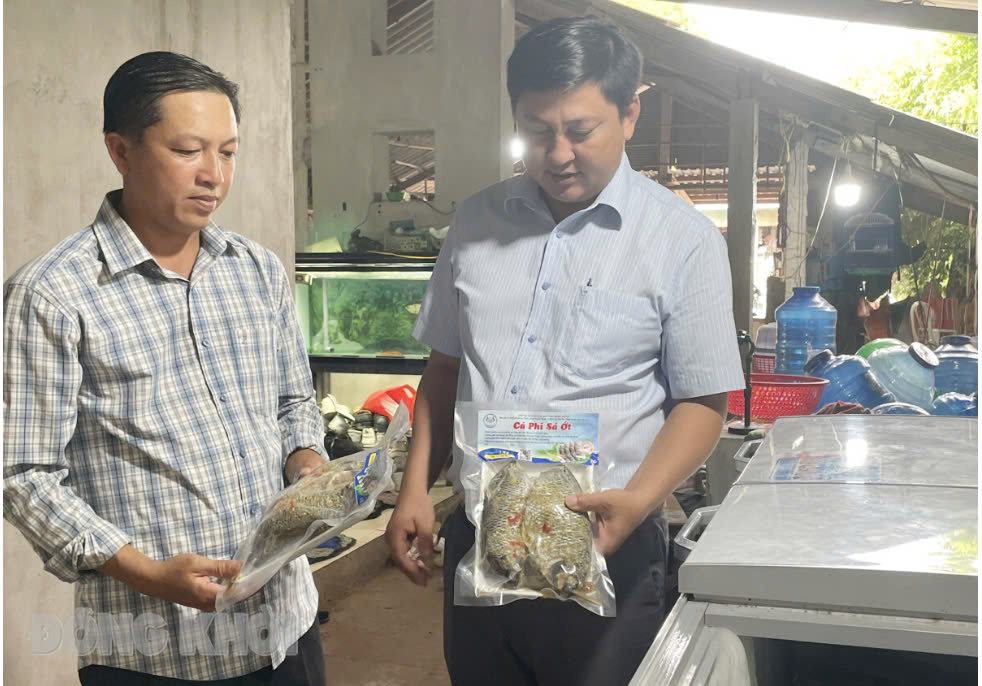 Bến Tre Cá rô phi sả ớt hấp dẫn người tiêu dùng