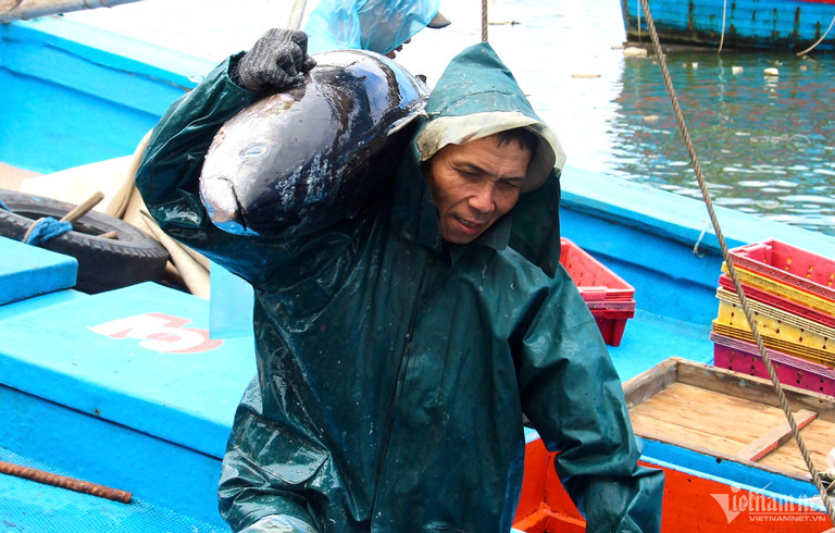 Vietnam seafood enterprises join forces to lift the yellow card 