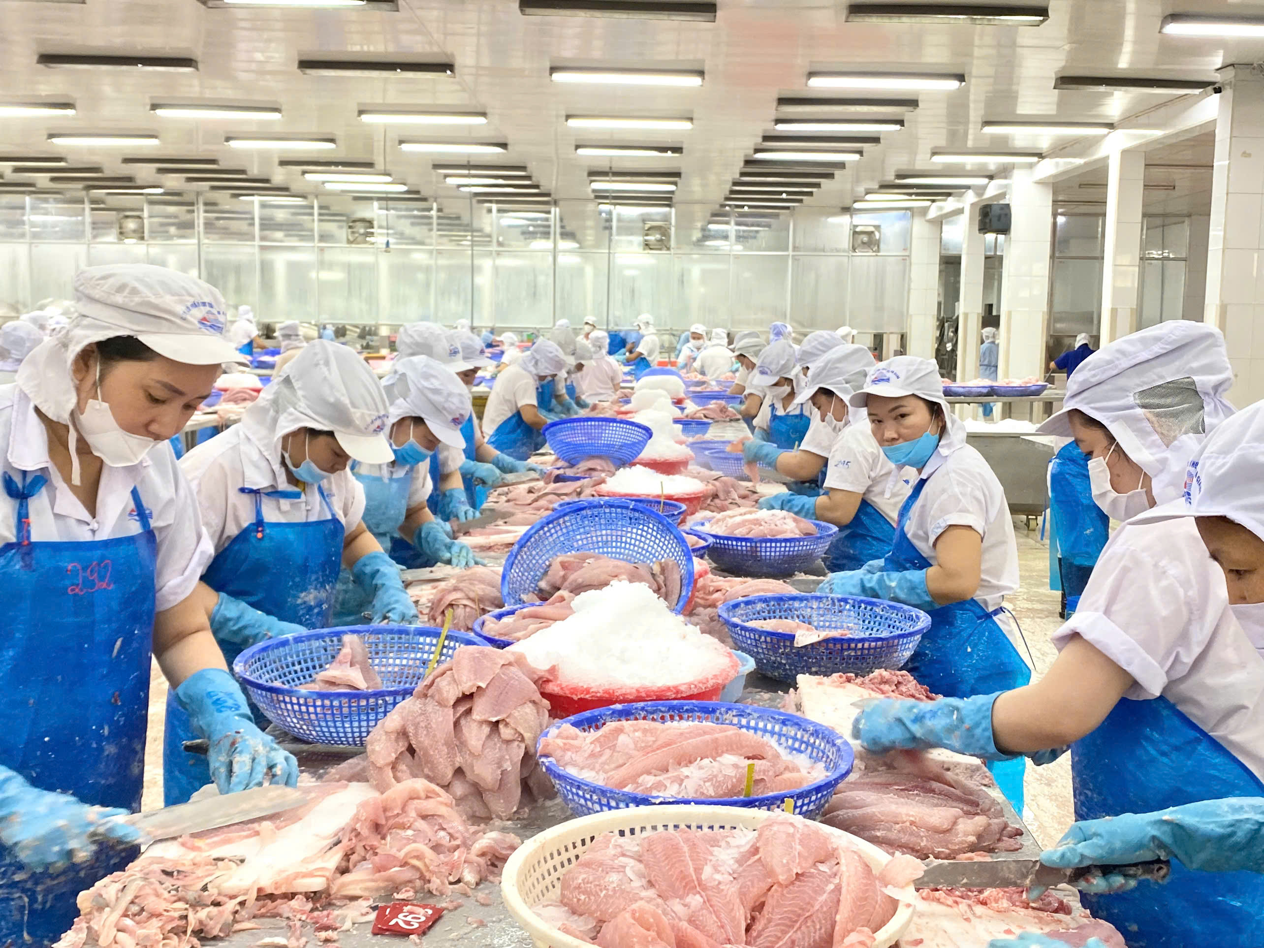 Cá tra Việt Nam đáp ứng được nhu cầu sản phẩm giá phải chăng tại Ai Cập