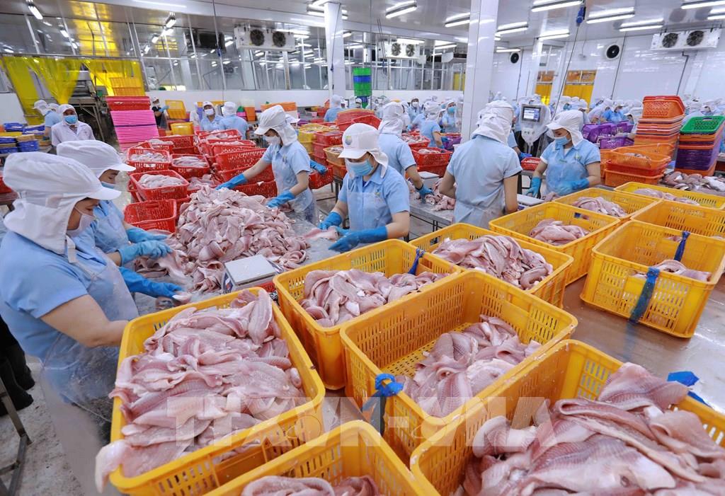 Việt Nam - Nhật Bản Nhiều cơ hội mới trong hợp tác thương mại