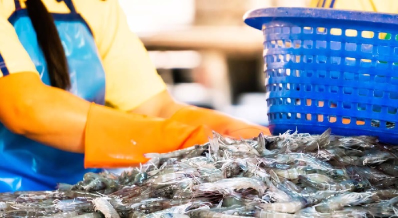 Bangladesh Xuất khẩu tôm khó khăn do thiếu nguồn cung