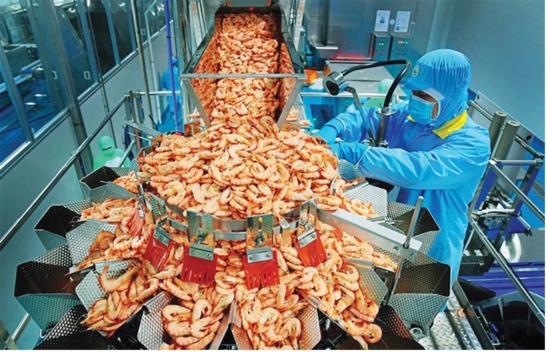 Nhu cầu tiêu thụ tôm tăng ở Nam Âu, ổn định ở các khu vực khác 