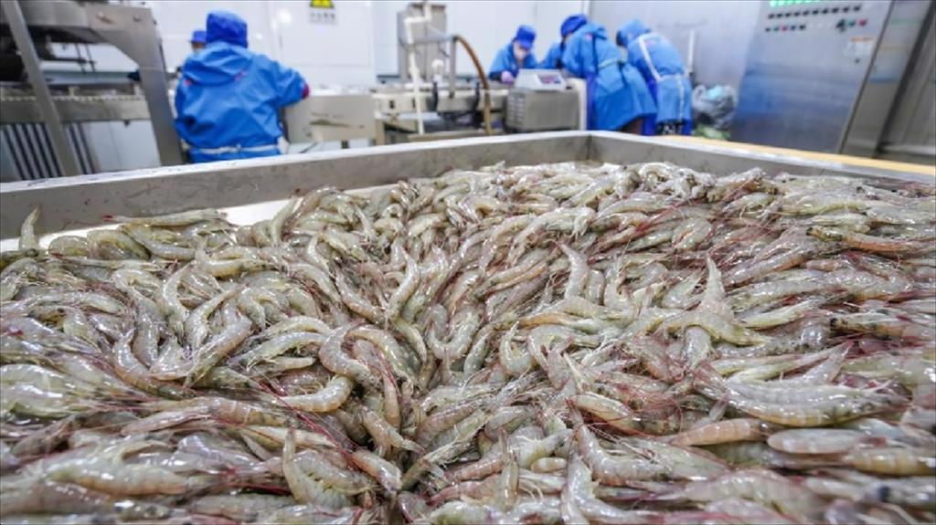 Venezuela khôi phục xuất khẩu tôm sang Trung Quốc 