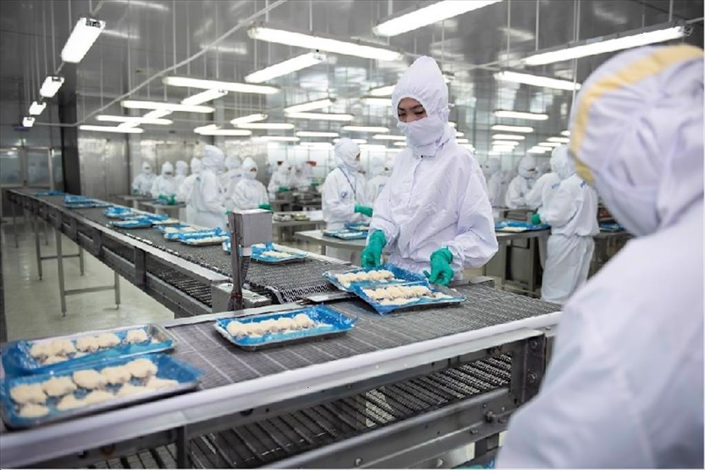 VASEP báo cáo VP Chính phủ các bất cập, khó khăn về cơ chế, chính sách, TTHC của DN thủy sản trong 11 tháng của năm 2024 