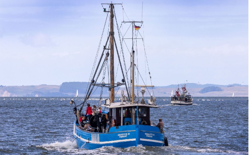 EU và Anh đạt thỏa thuận về khai thác thủy sản năm 2025  