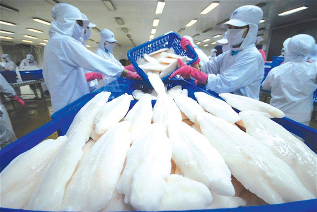 Vinh Hoan Seafood (VHC) Exports to the U.S., EU, and China grow by up to 40%