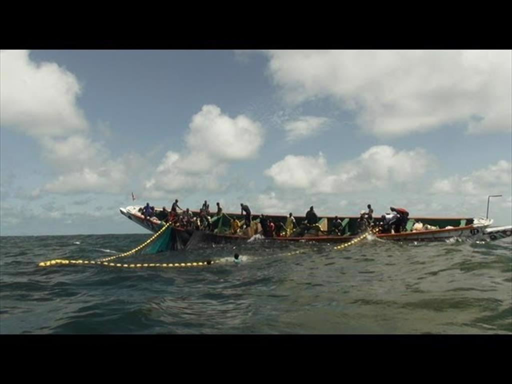 Ngư trường cá ngừ Senegal trở thành ngư trường đầu tiên ở Tây Phi đạt chứng nhận MSC  