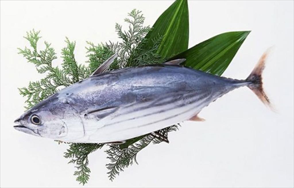 Giá cá ngừ vằn Bangkok giảm trong tháng 122024