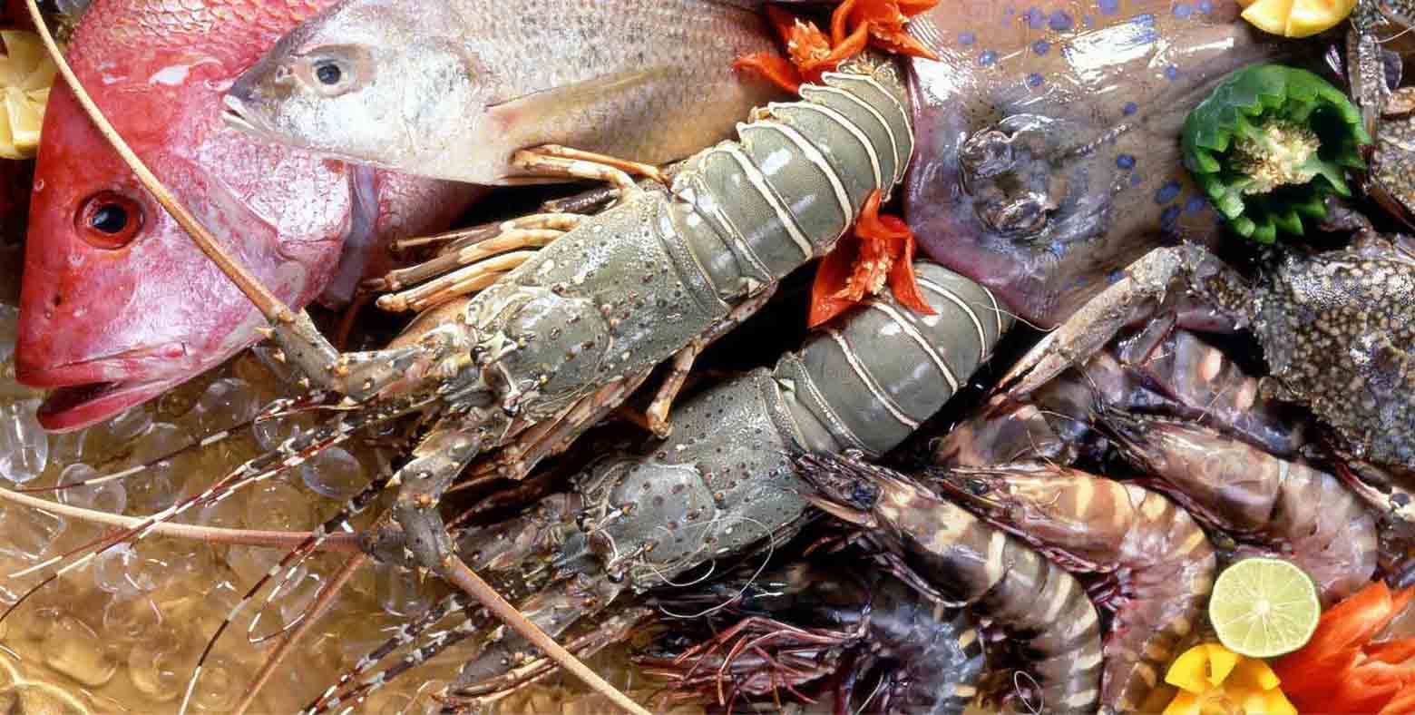 23 doanh nghiệp xuất khẩu hải sản xuất sắc năm 2024 được vinh danh