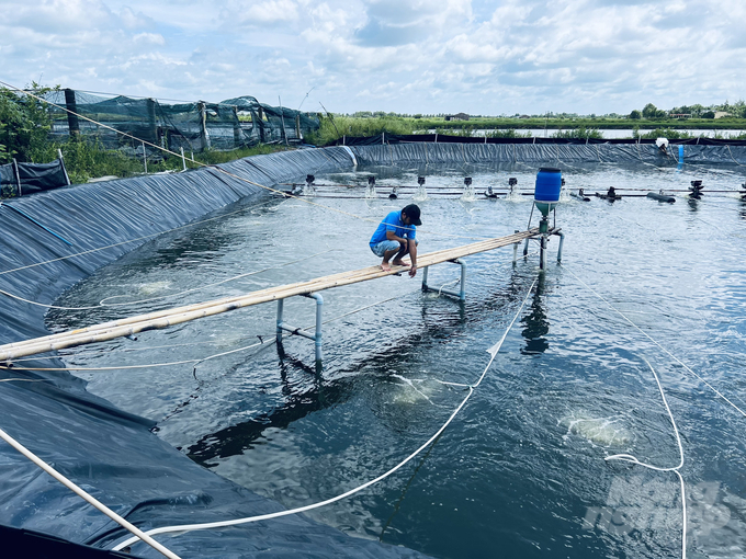 Soc Trang achieves an estimated aquaculture output of 310,000 tons  