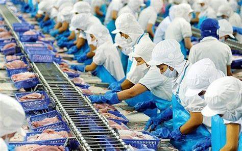 Xuất khẩu sang Hoa Kỳ “Cửa” có sáng trong năm 2025